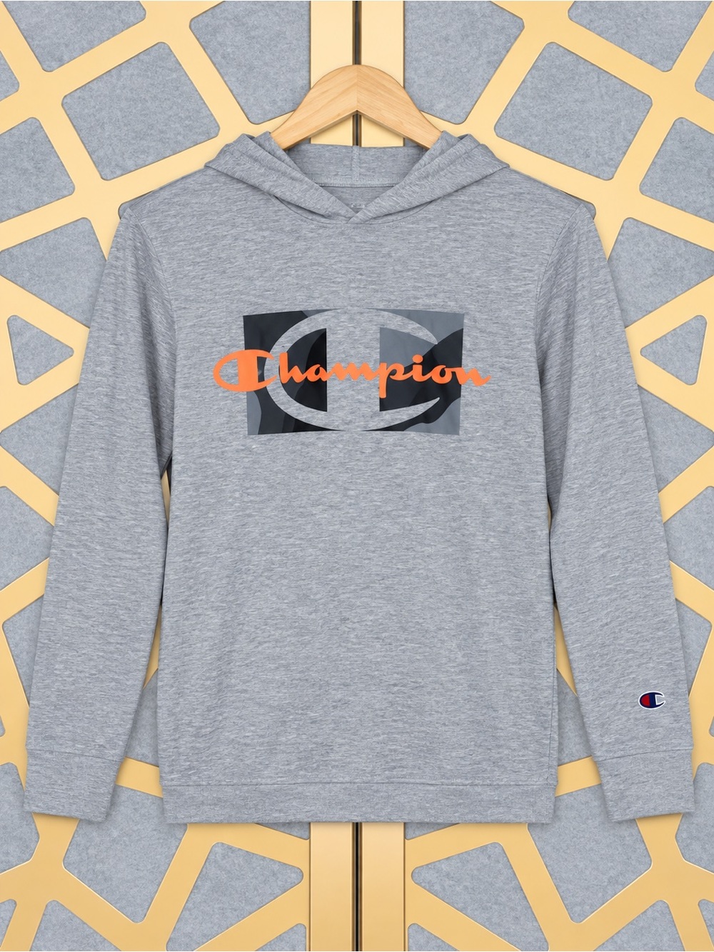 Champion Boys Hoodie